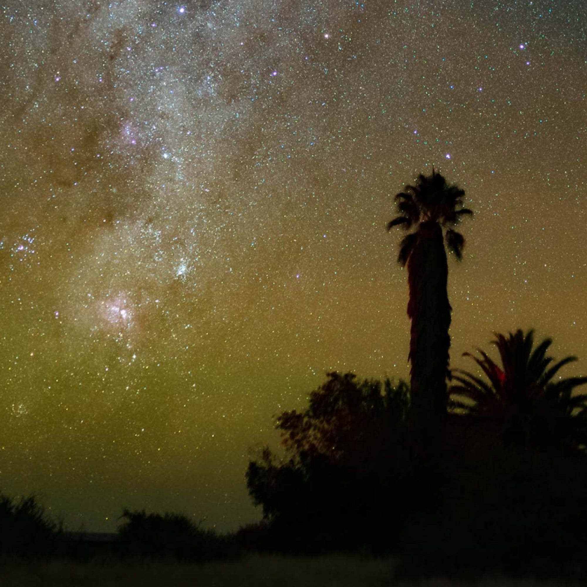 Tivoli Astrofarm - Gigalaxy