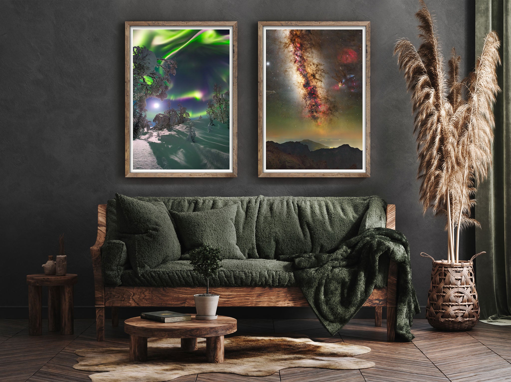 Aurora Moon flower