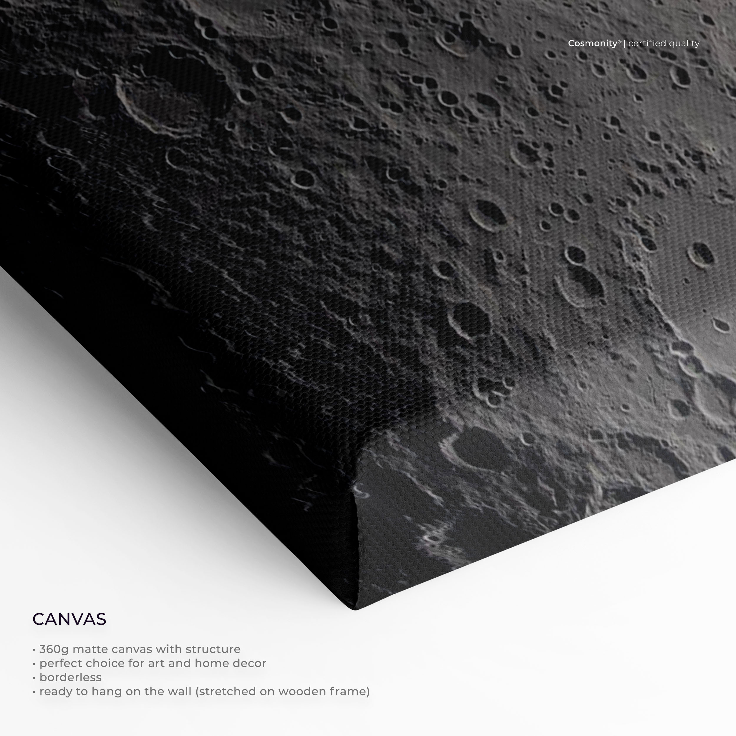 Moon and Beauty of the Earth canvas close-up