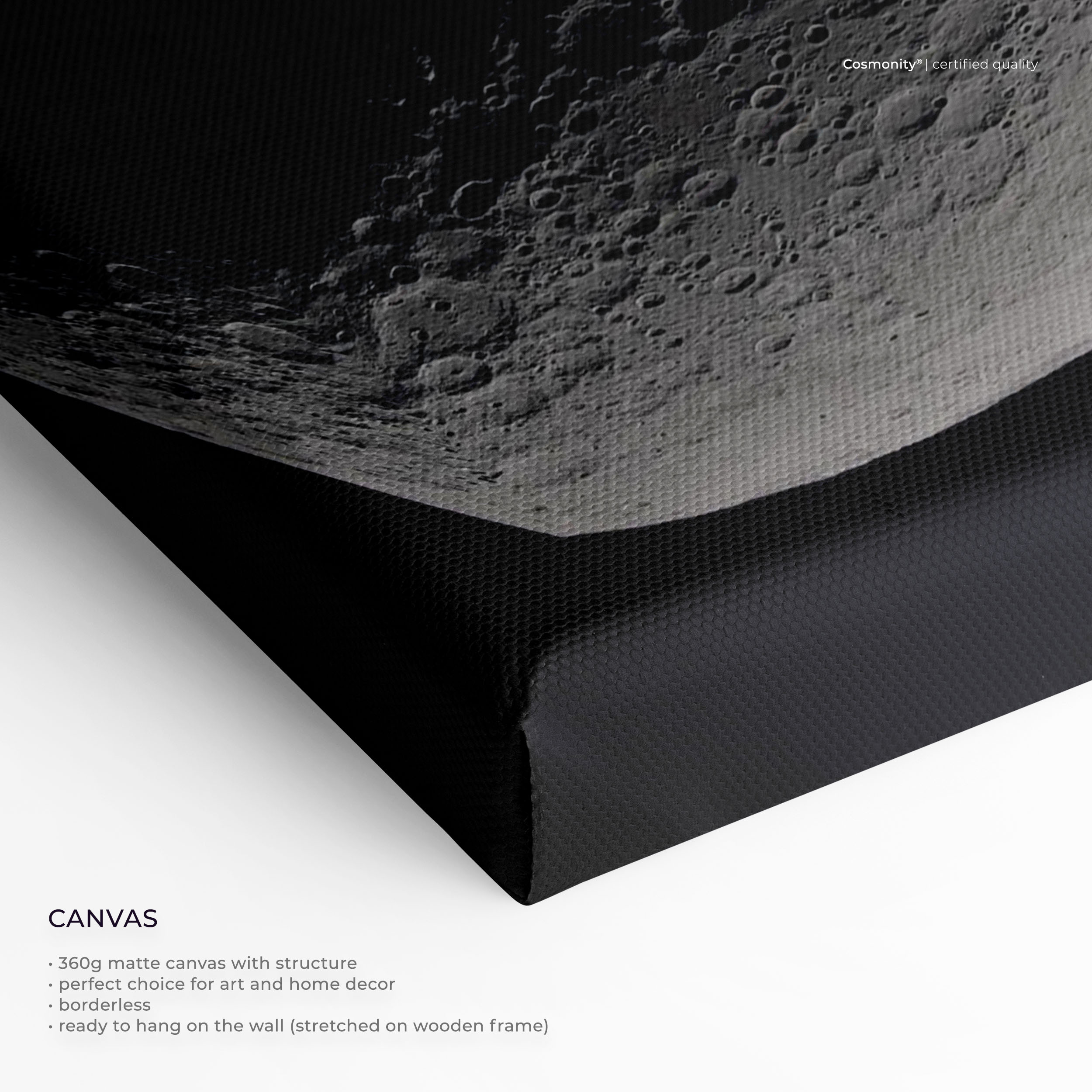A New View of the Moon canvas close-up