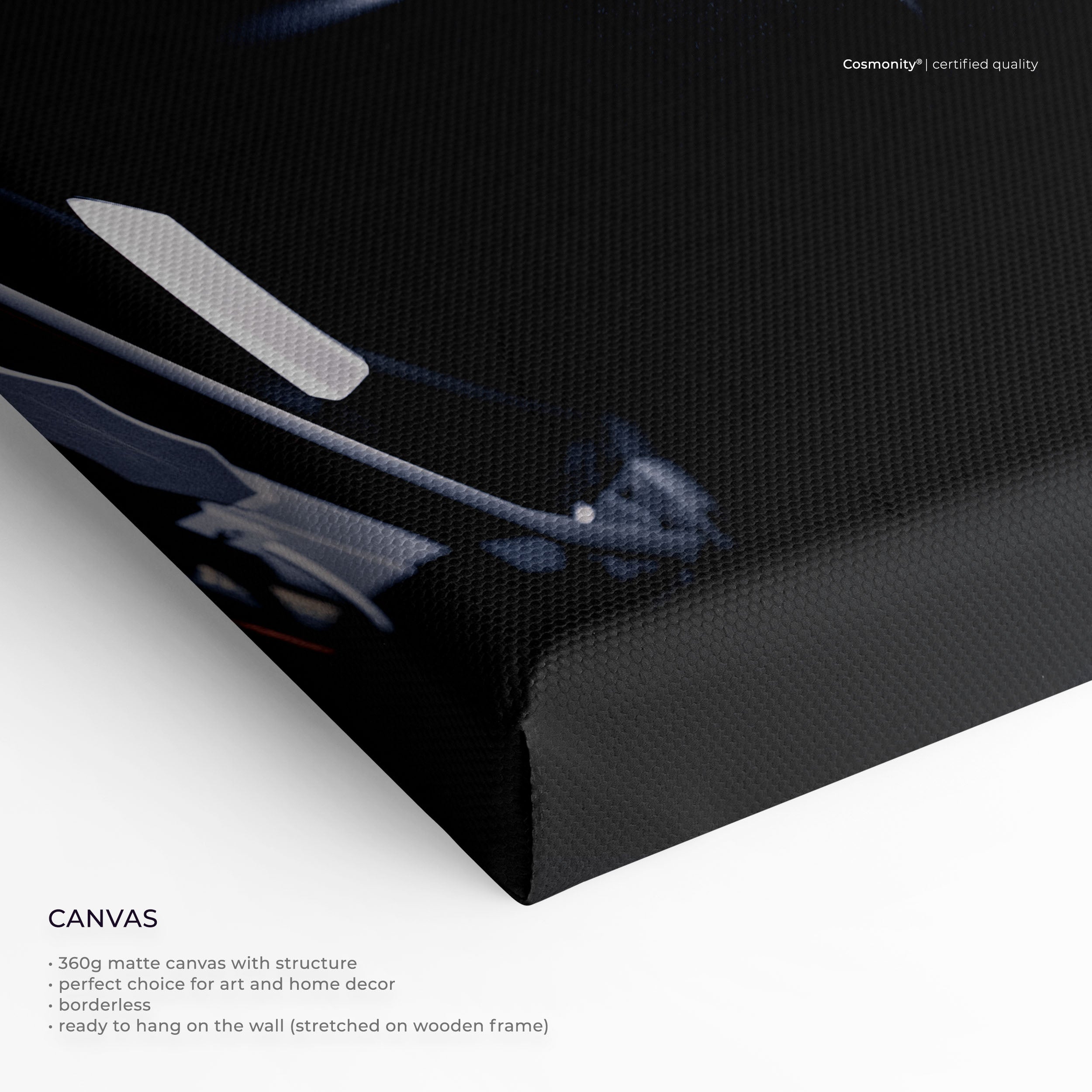 Artemis II Poster canvas close-up