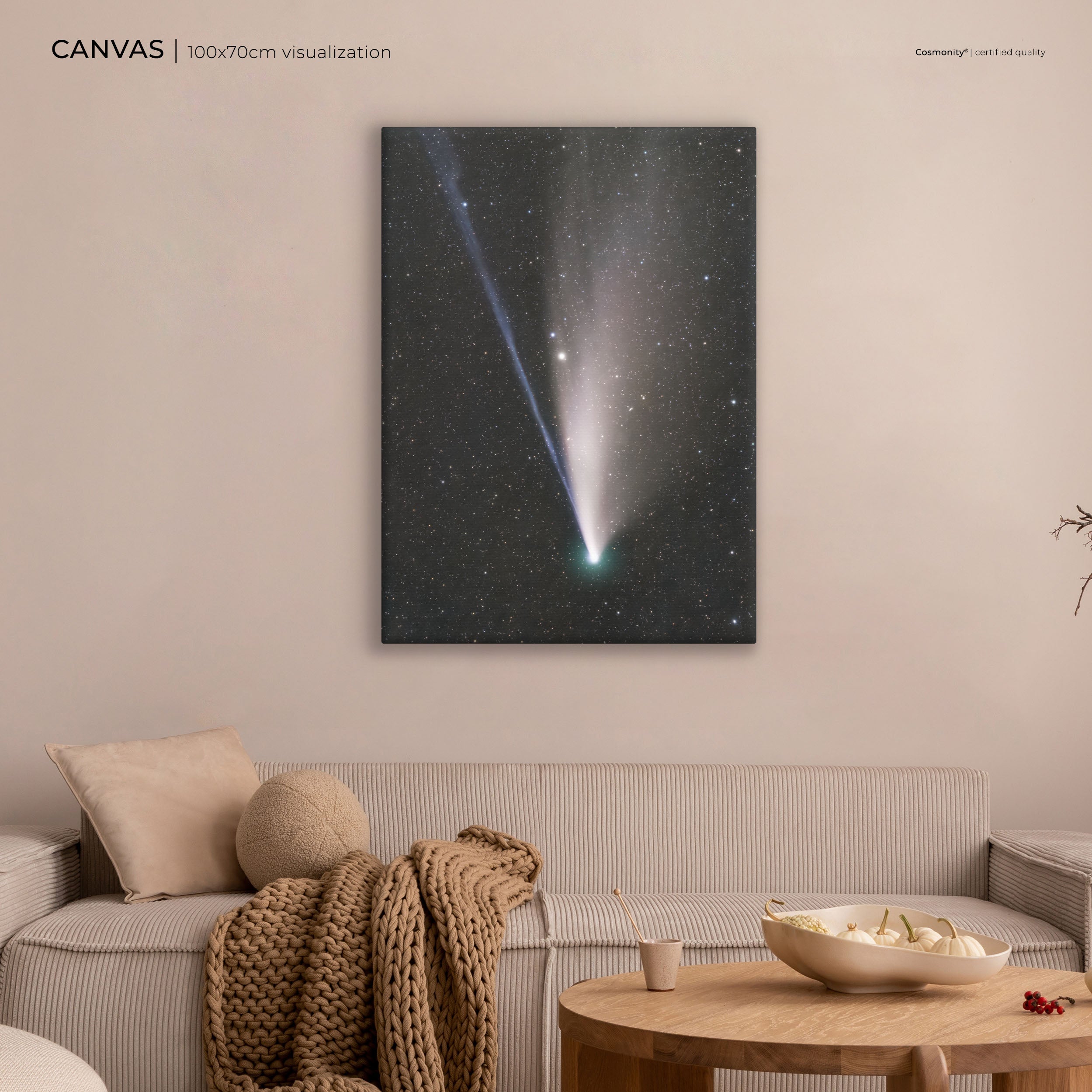 Comet Neowise