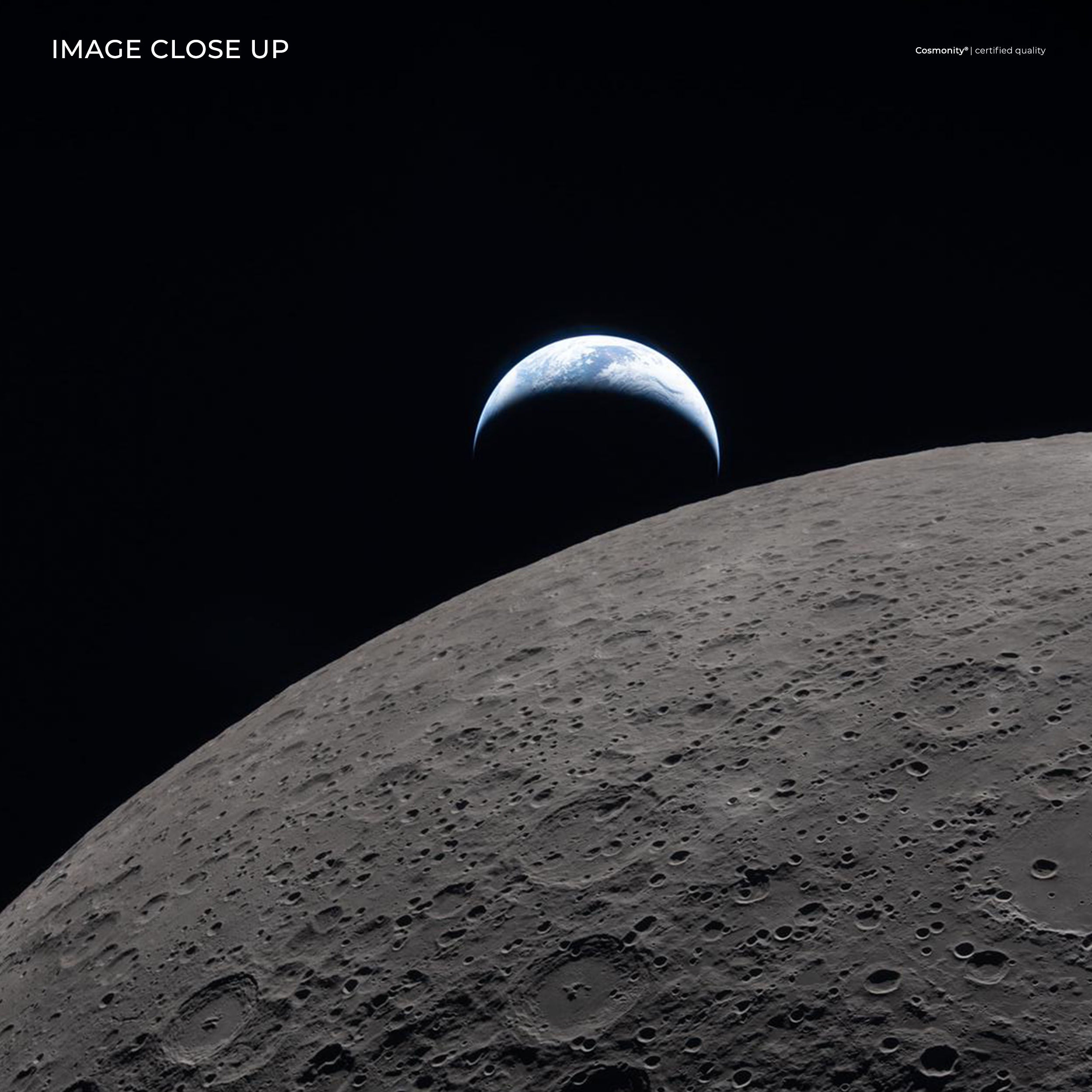Moon and Beauty of the Earth artwork close-up