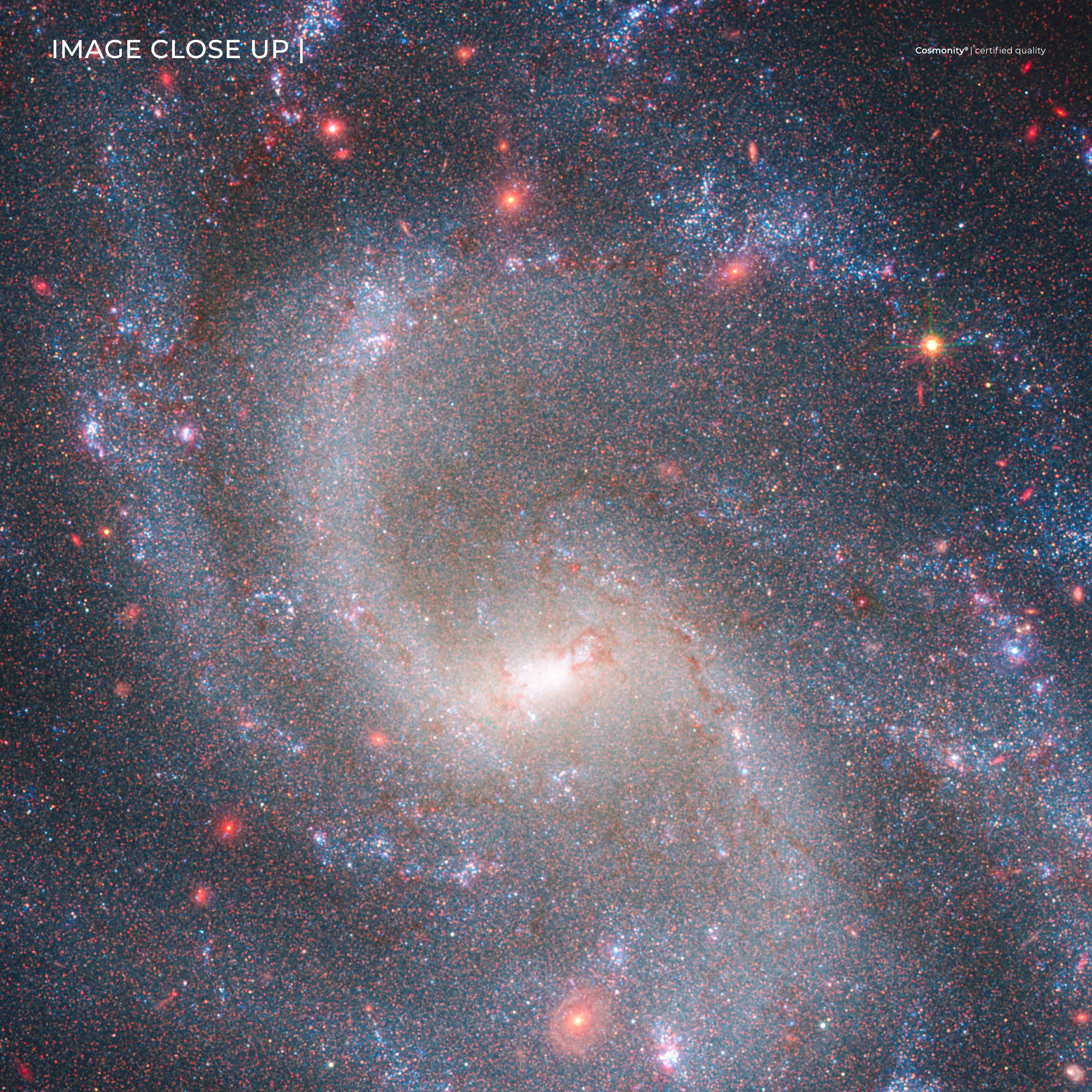 Galaxy NGC 5584