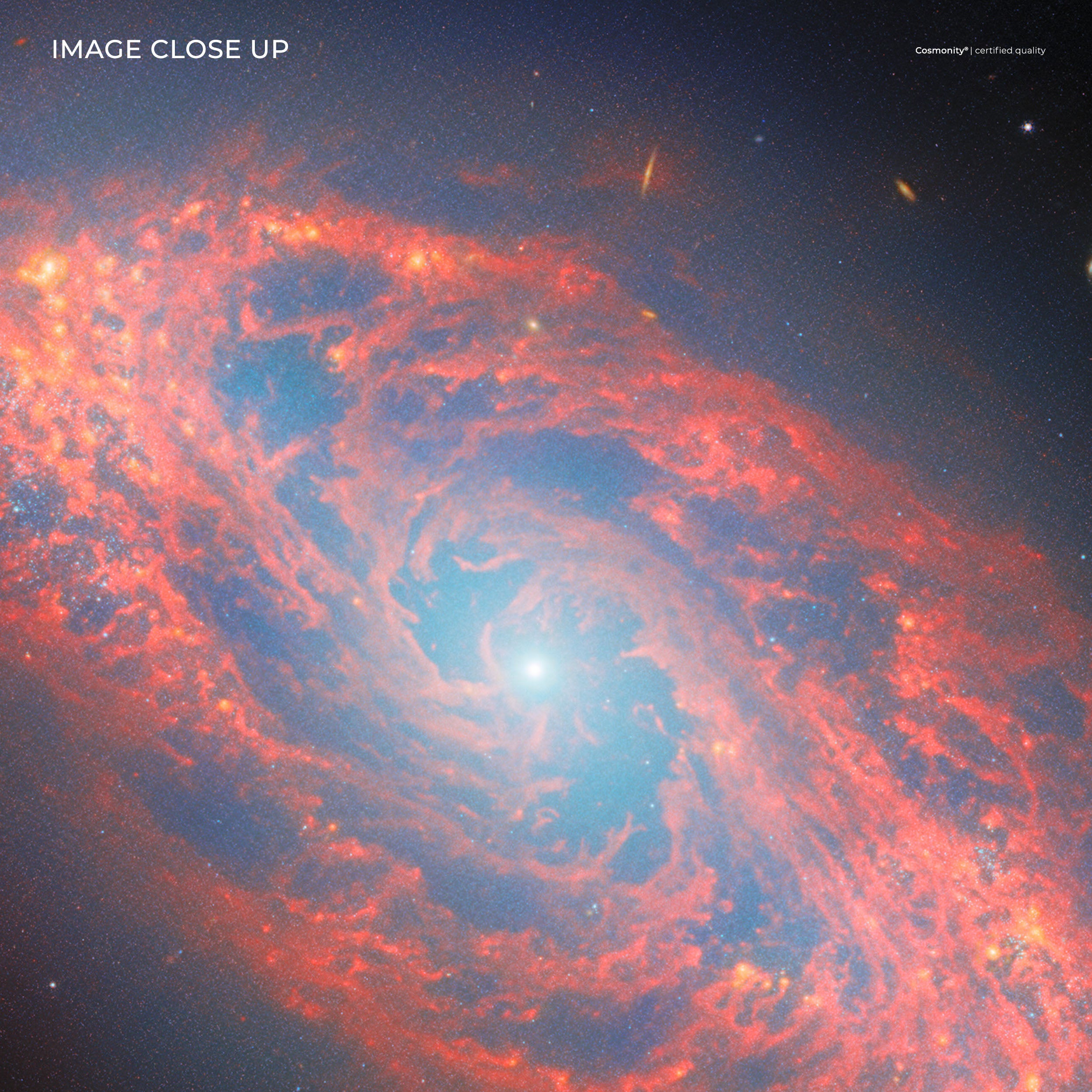 NGC 5134