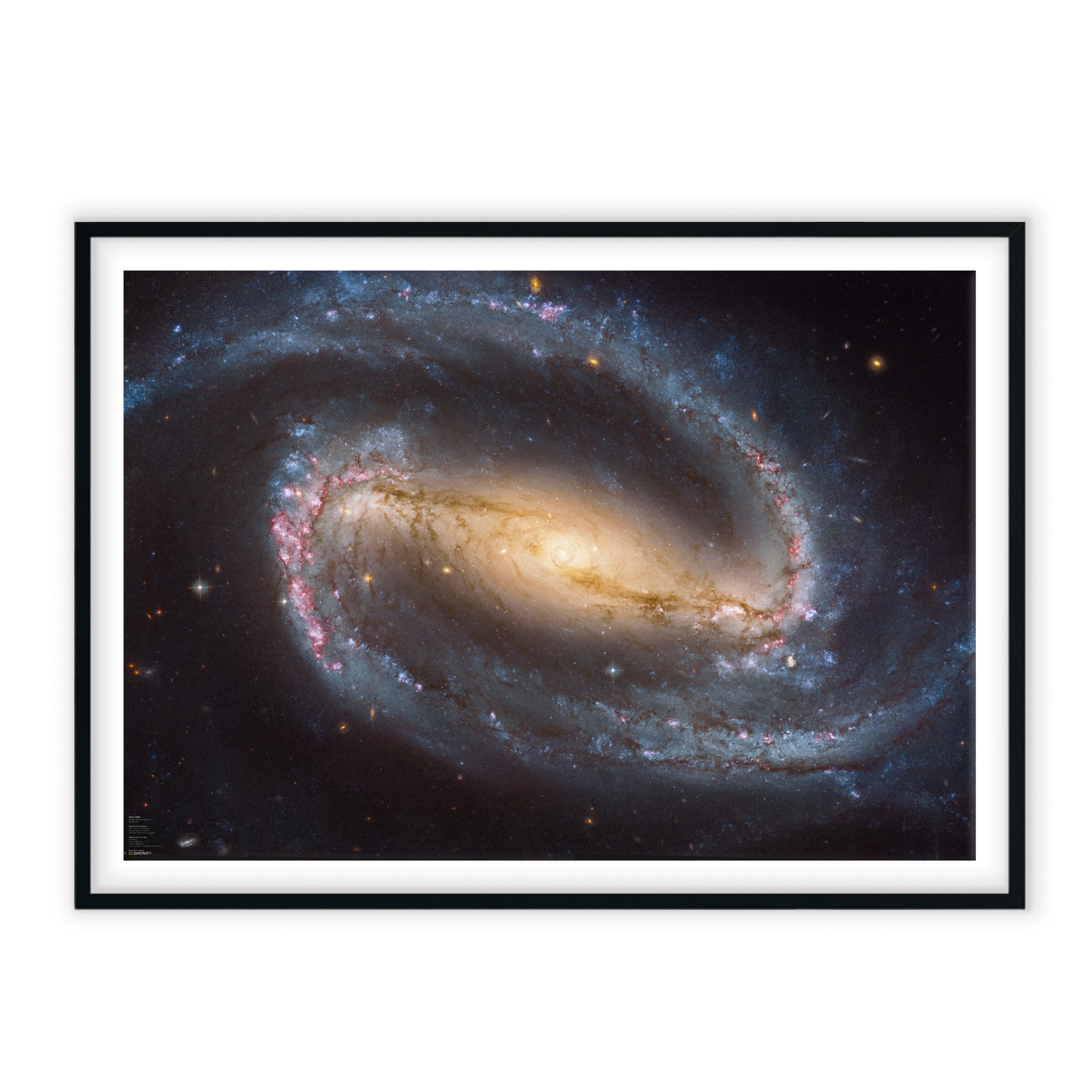 Spiral Galaxy - NGC 1300