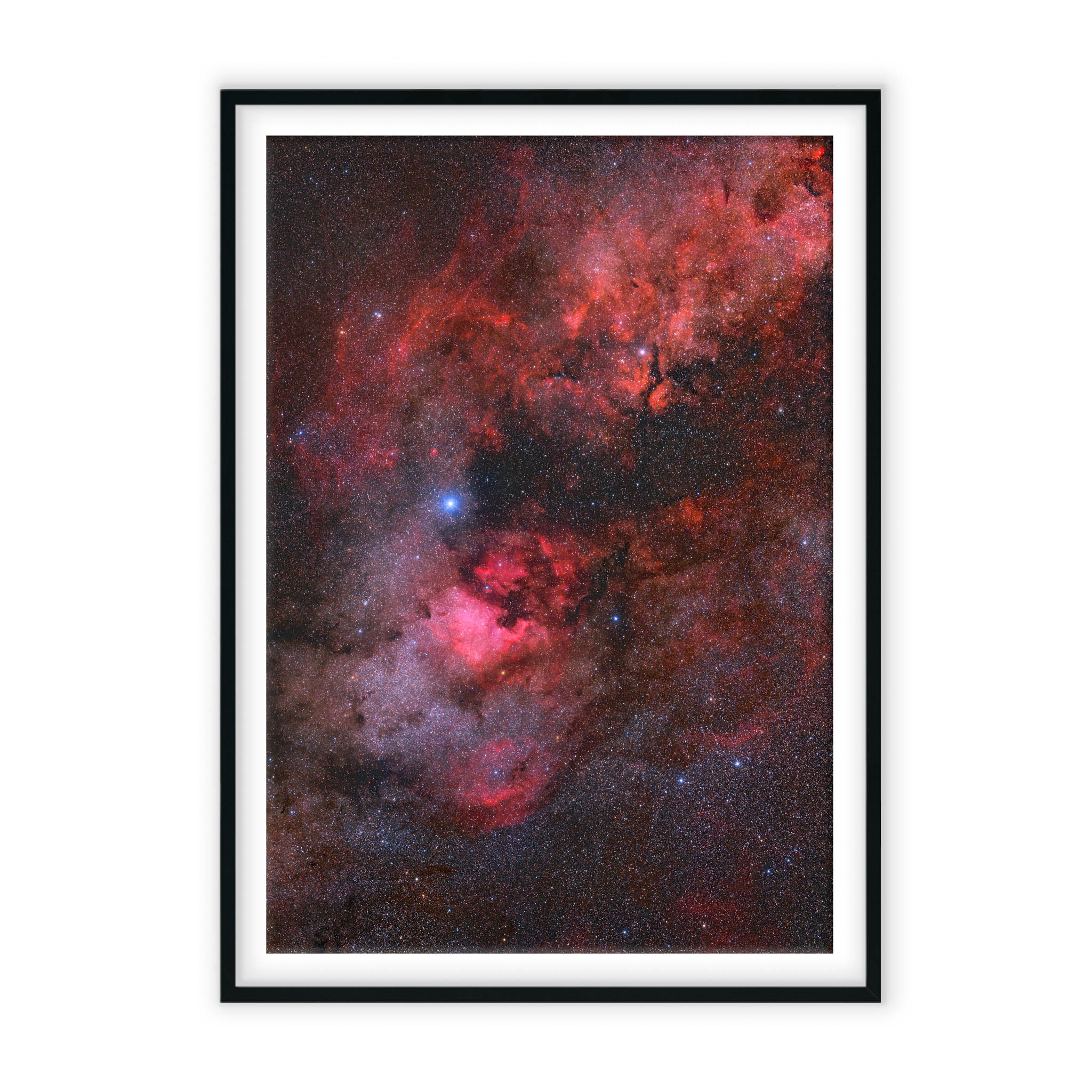 Nebulae of Cygnus