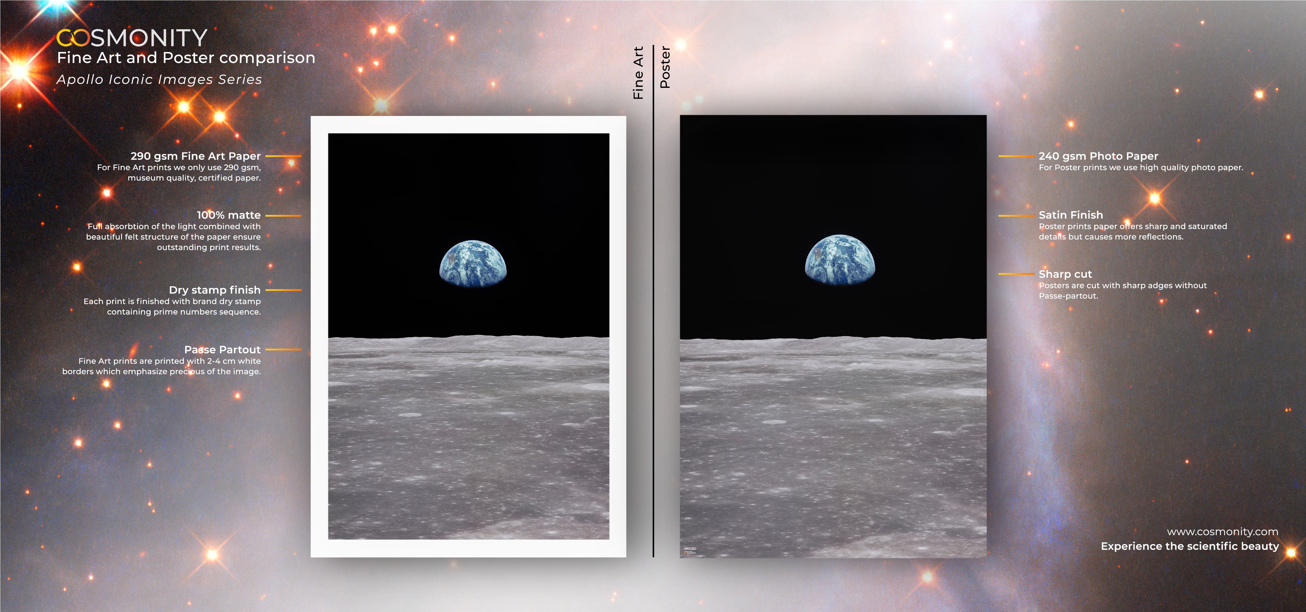 Earthrise Apollo 11