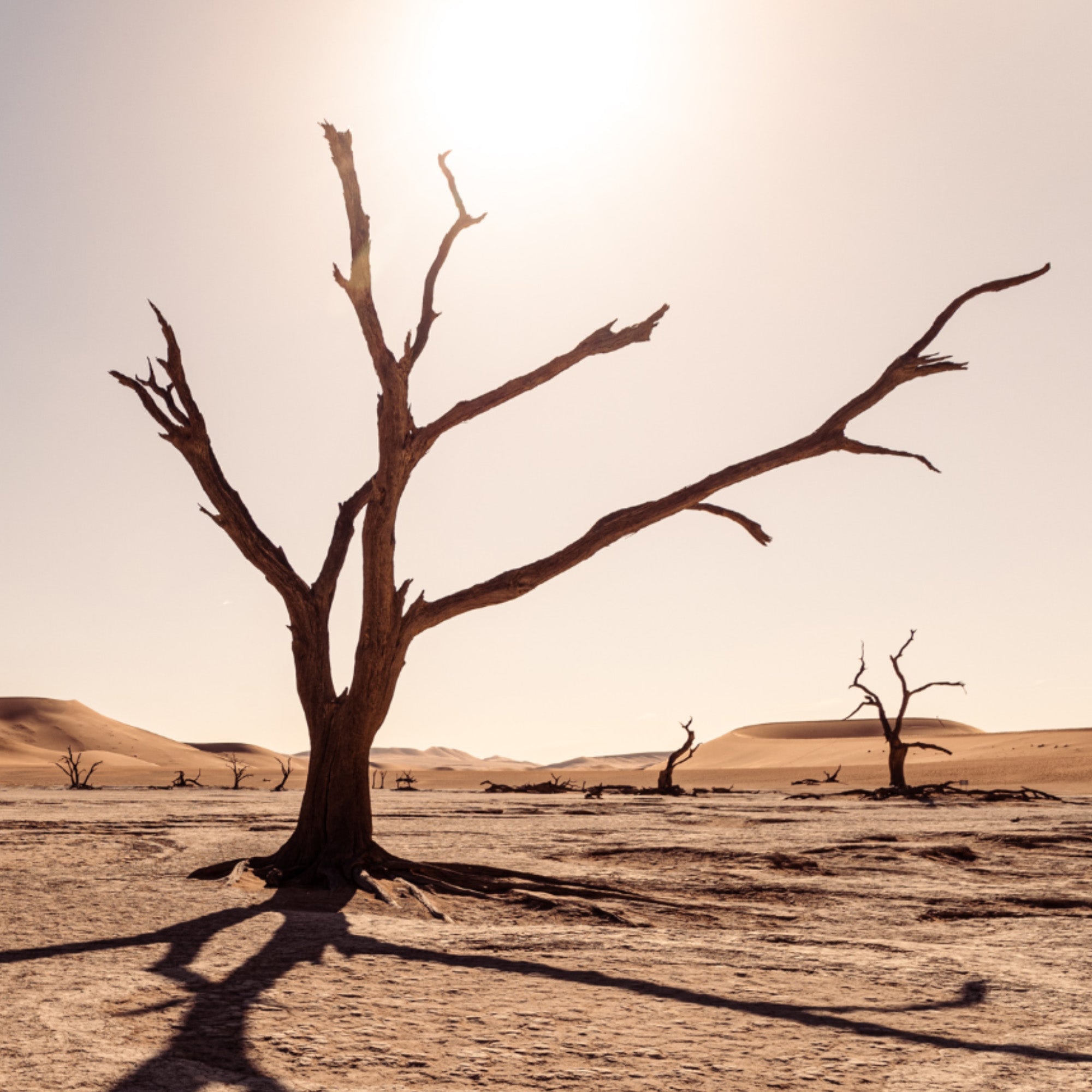 Deadvlei