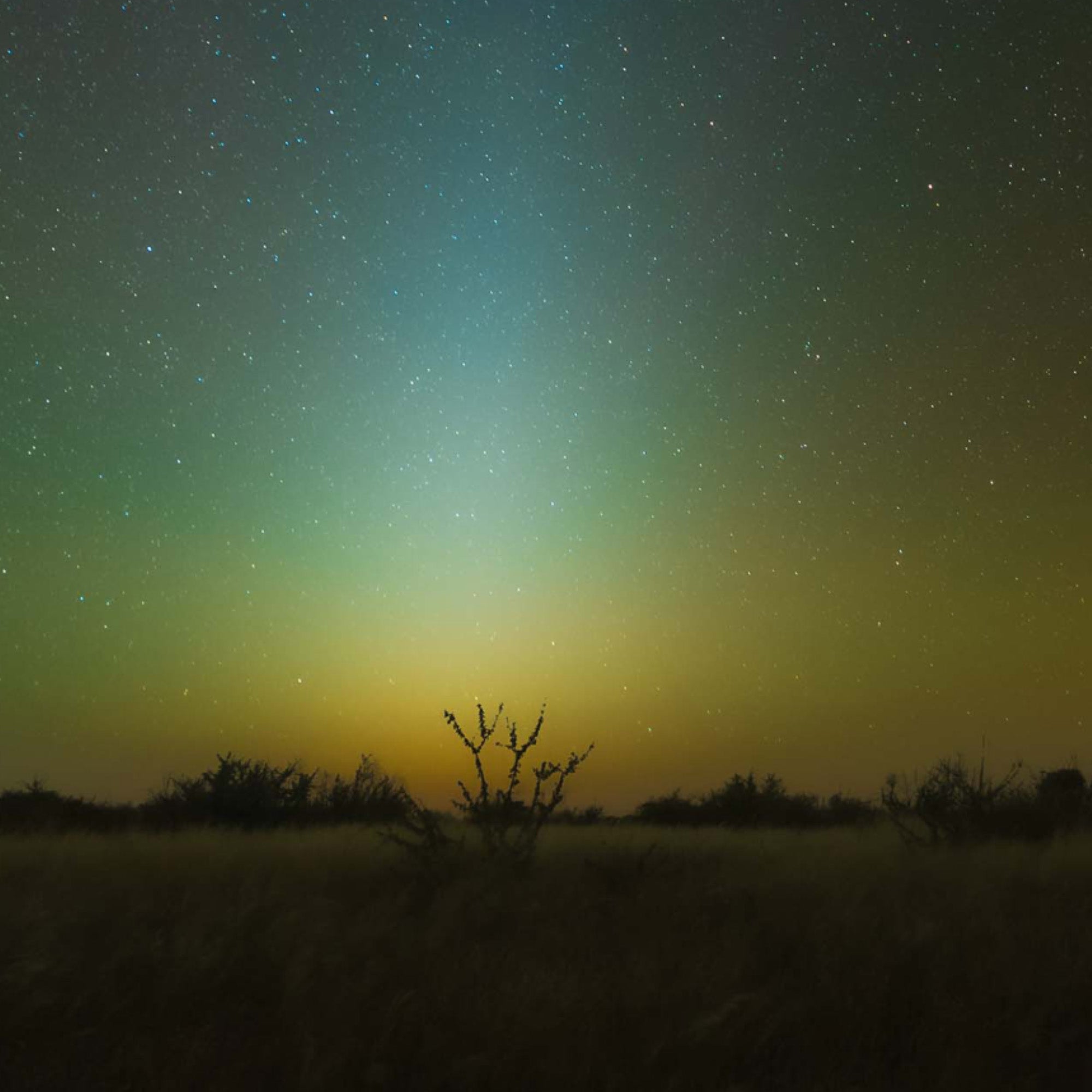 Zodiacal Light - Gigalaxy