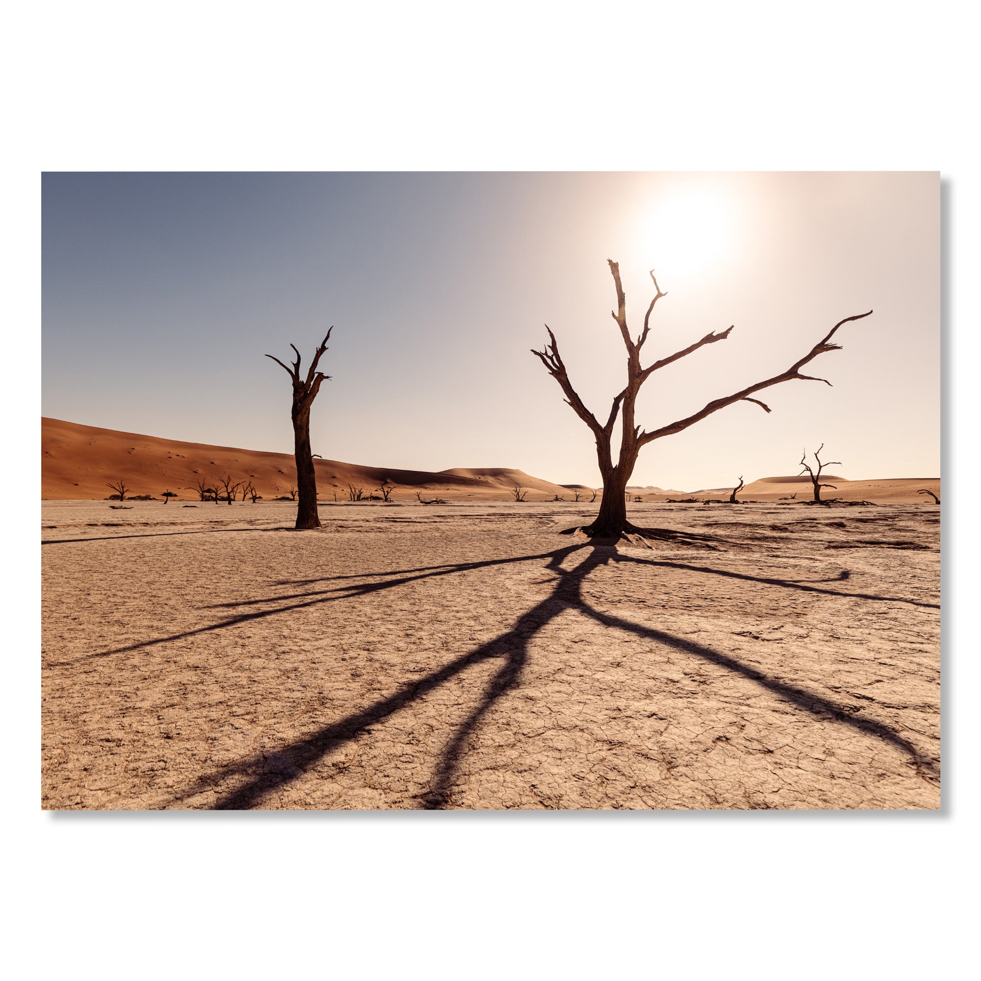 Deadvlei