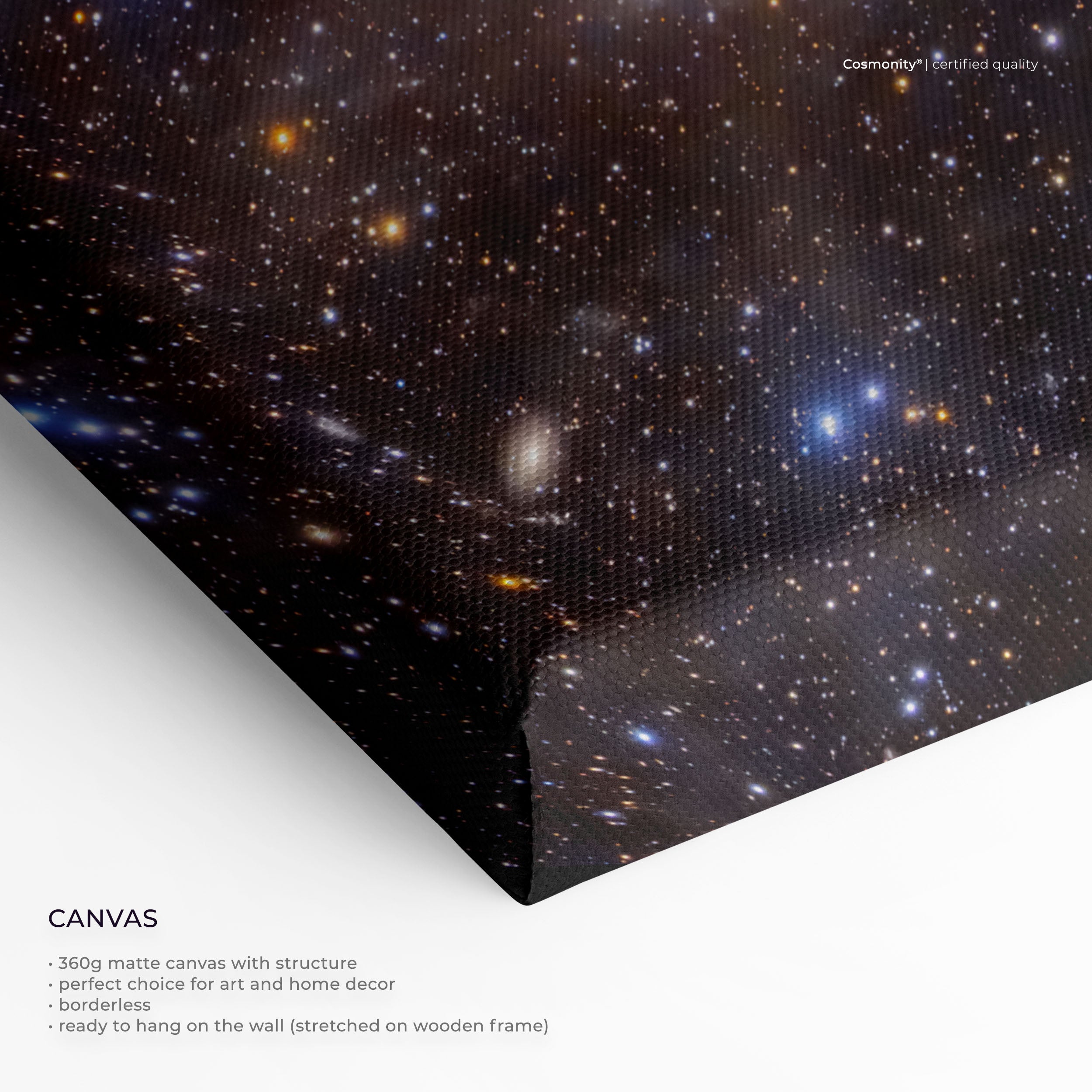 IC 342 - The Hidden Galaxy