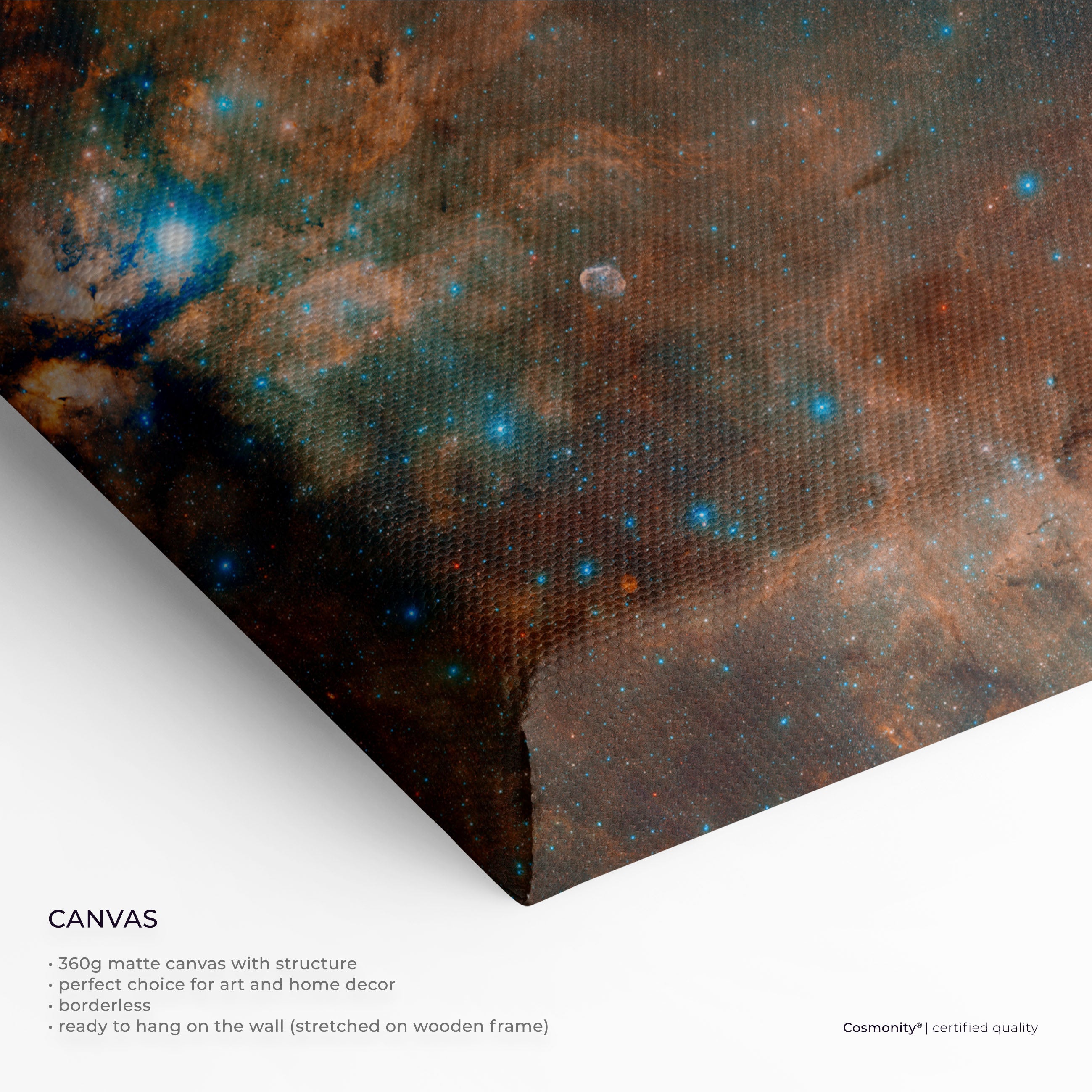 Star fields of Cygnus - Panorama