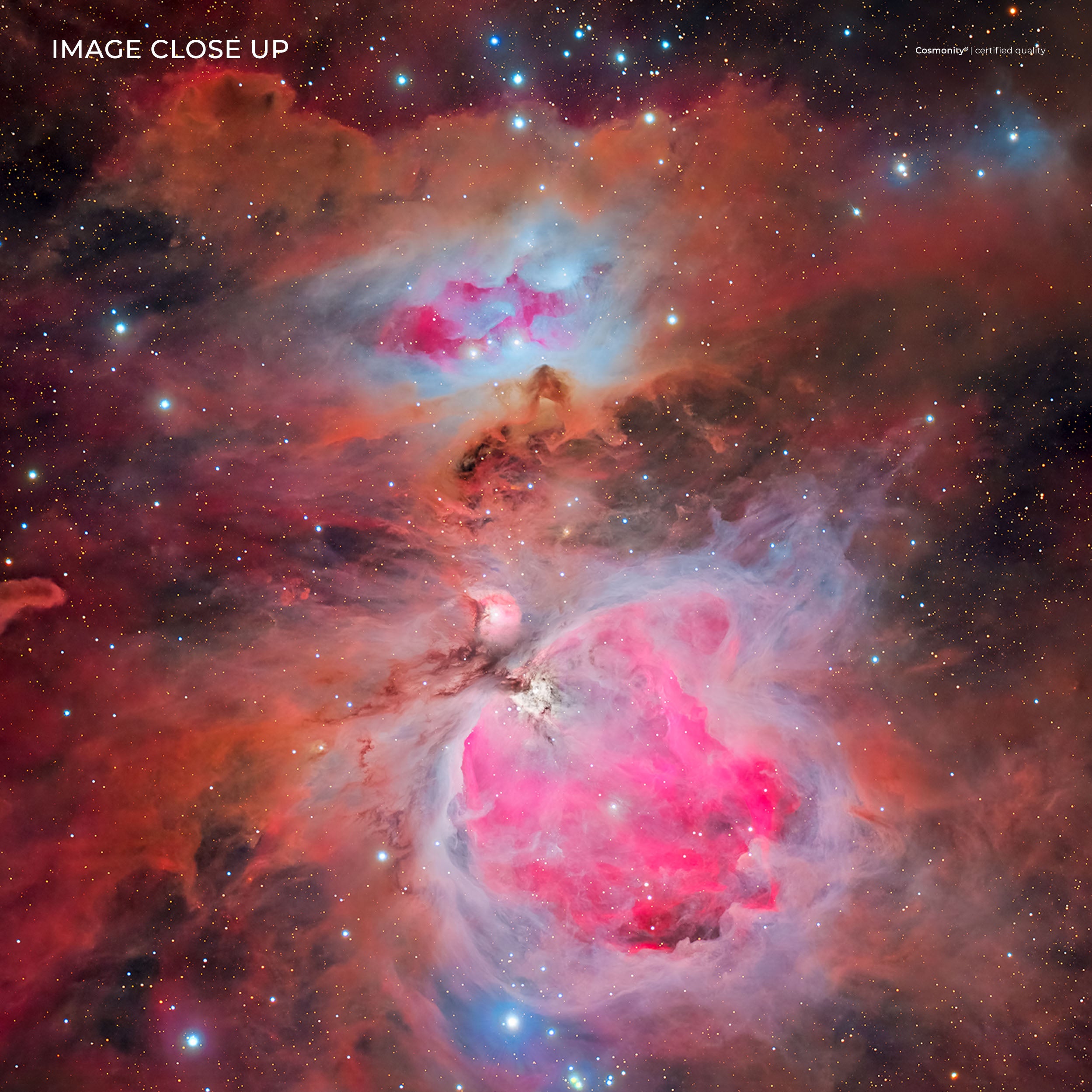 The Great Orion Nebula