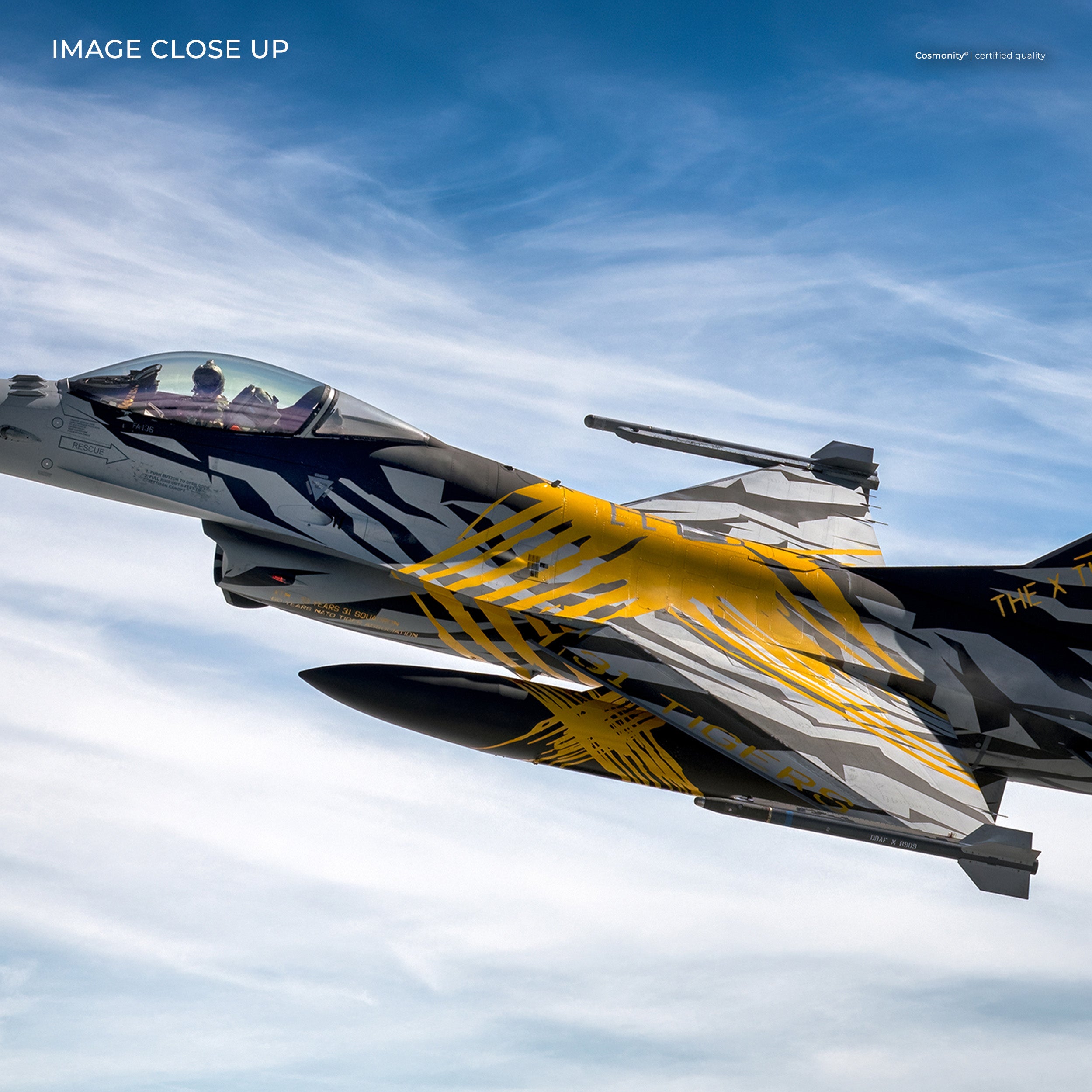 F-16 Belgian Tiger