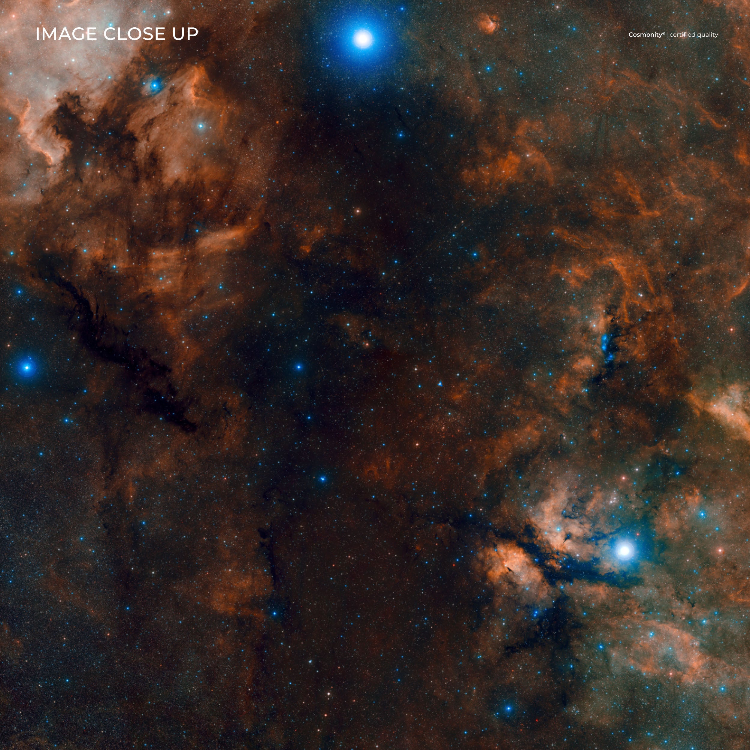 Cygnus full of stars - 2.5 Gigapixels