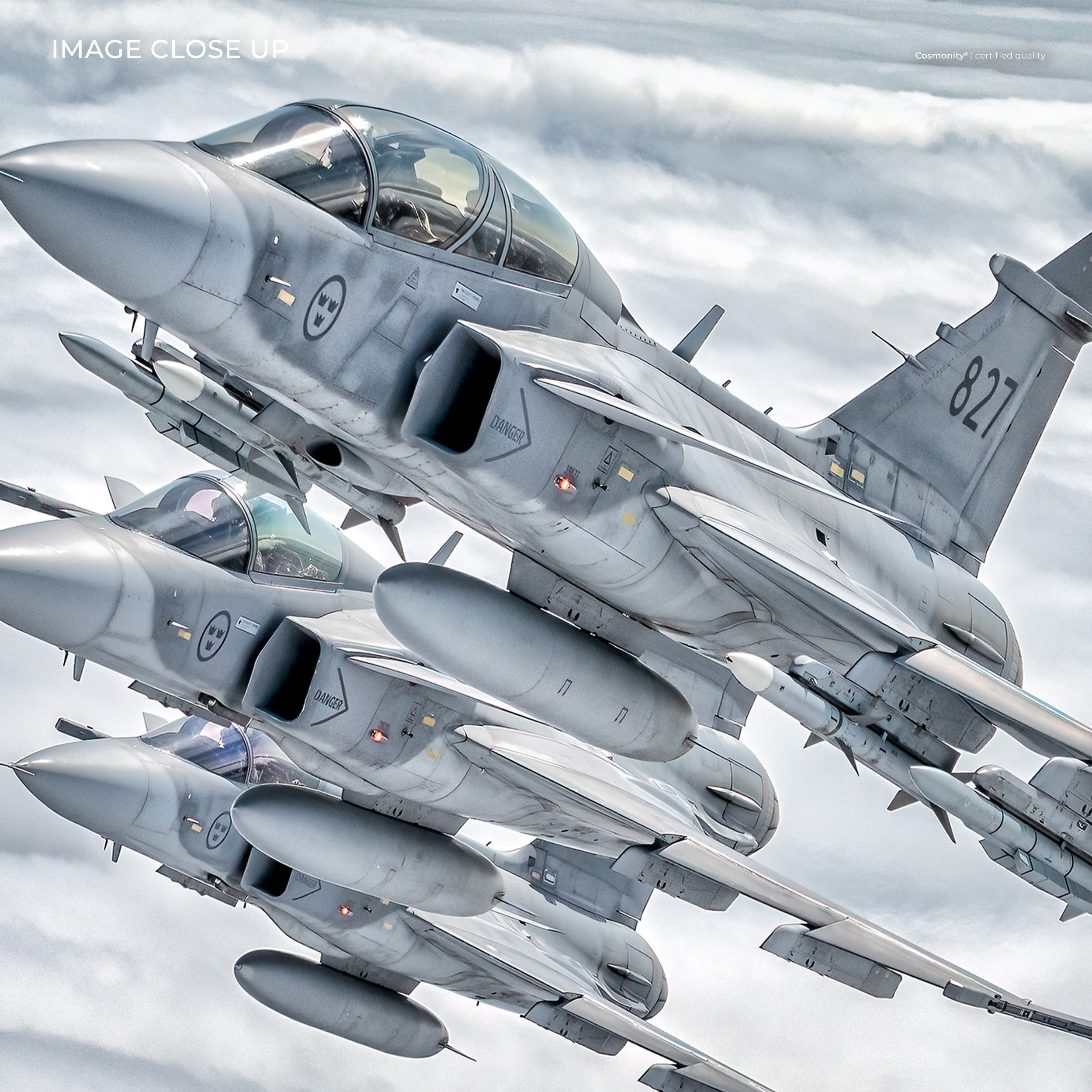 Gripen Squadron