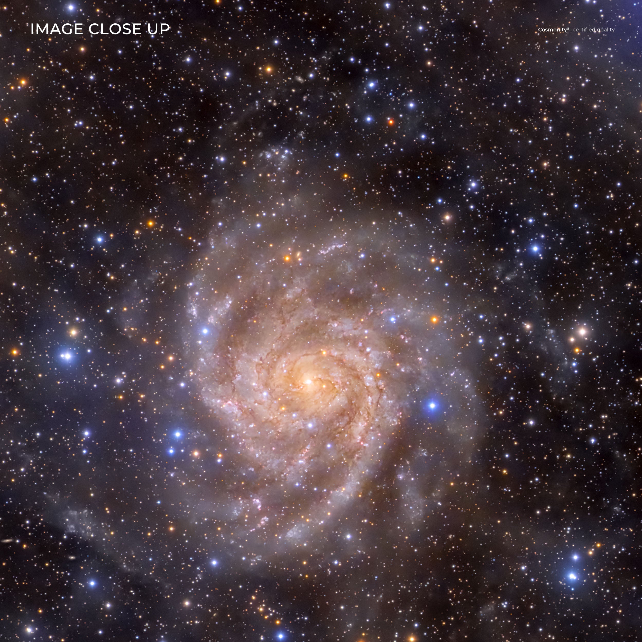 IC 342 - The Hidden Galaxy