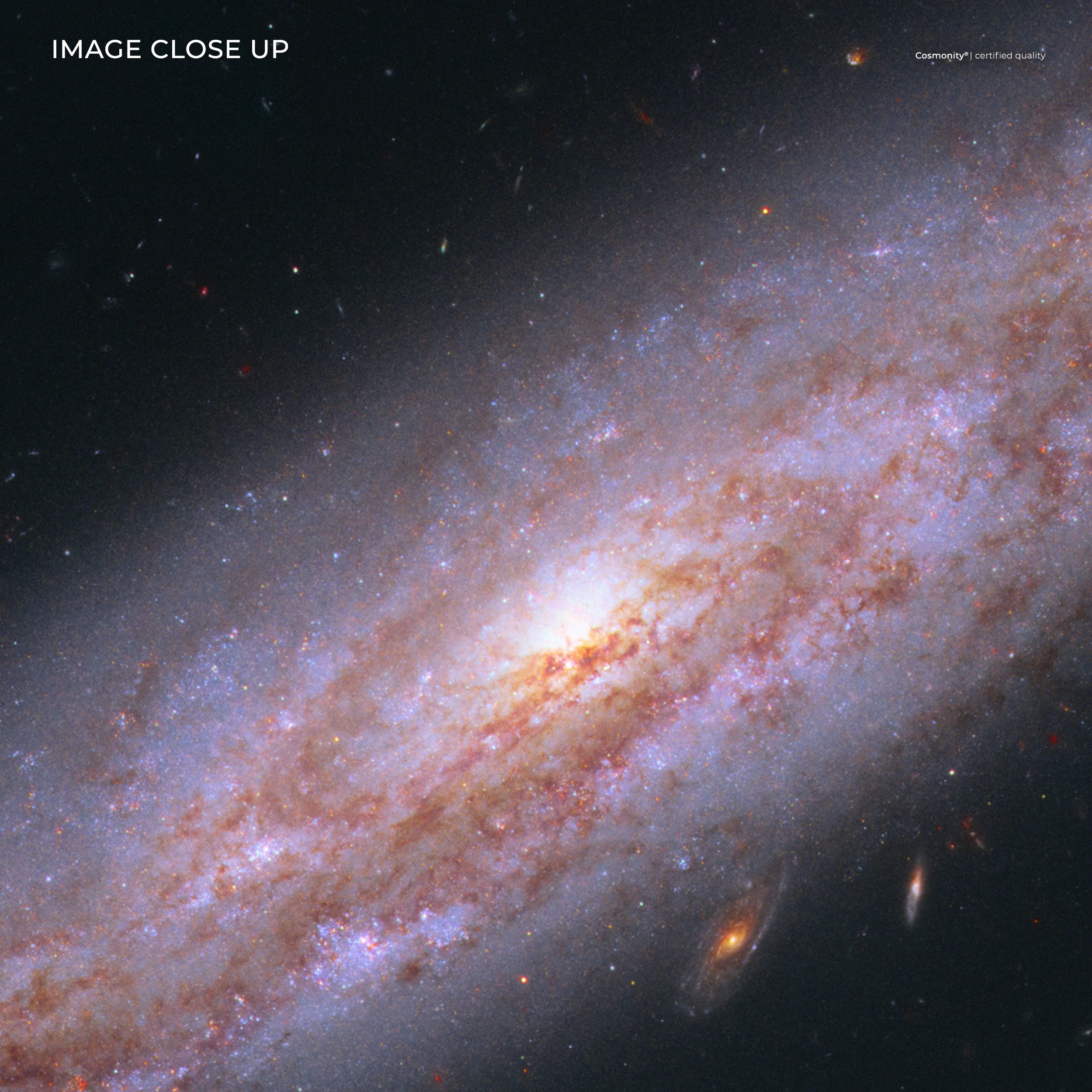Galaxy NGC3972