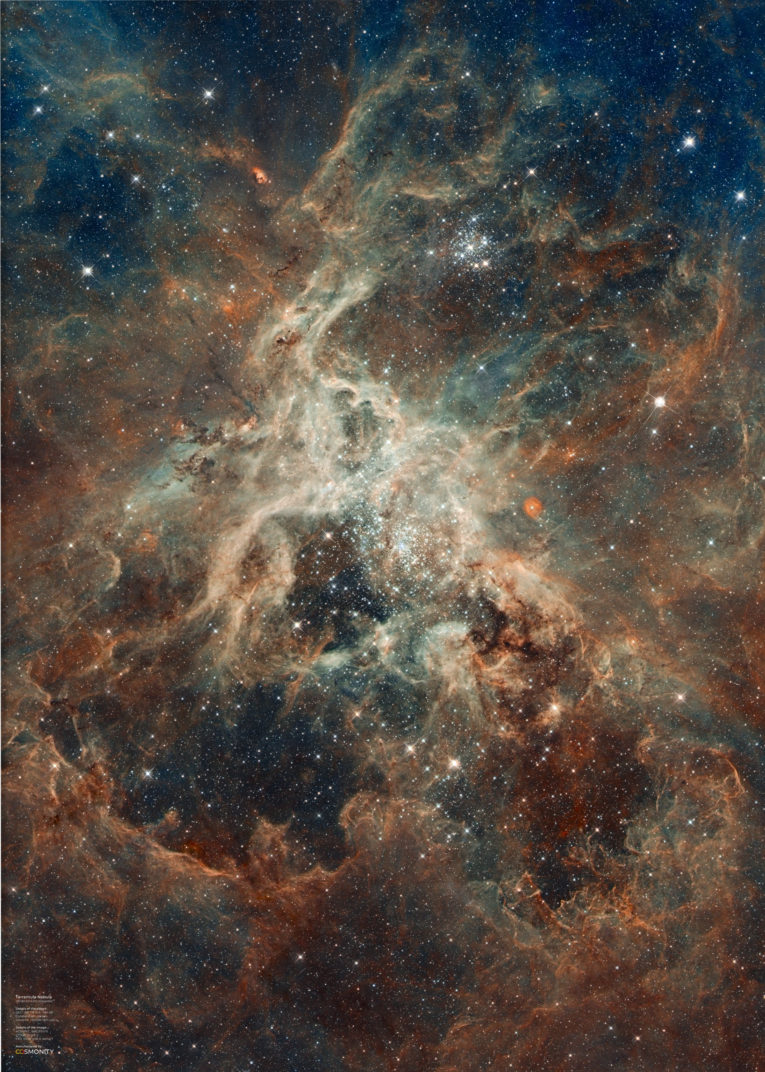 Tarantula Nebula