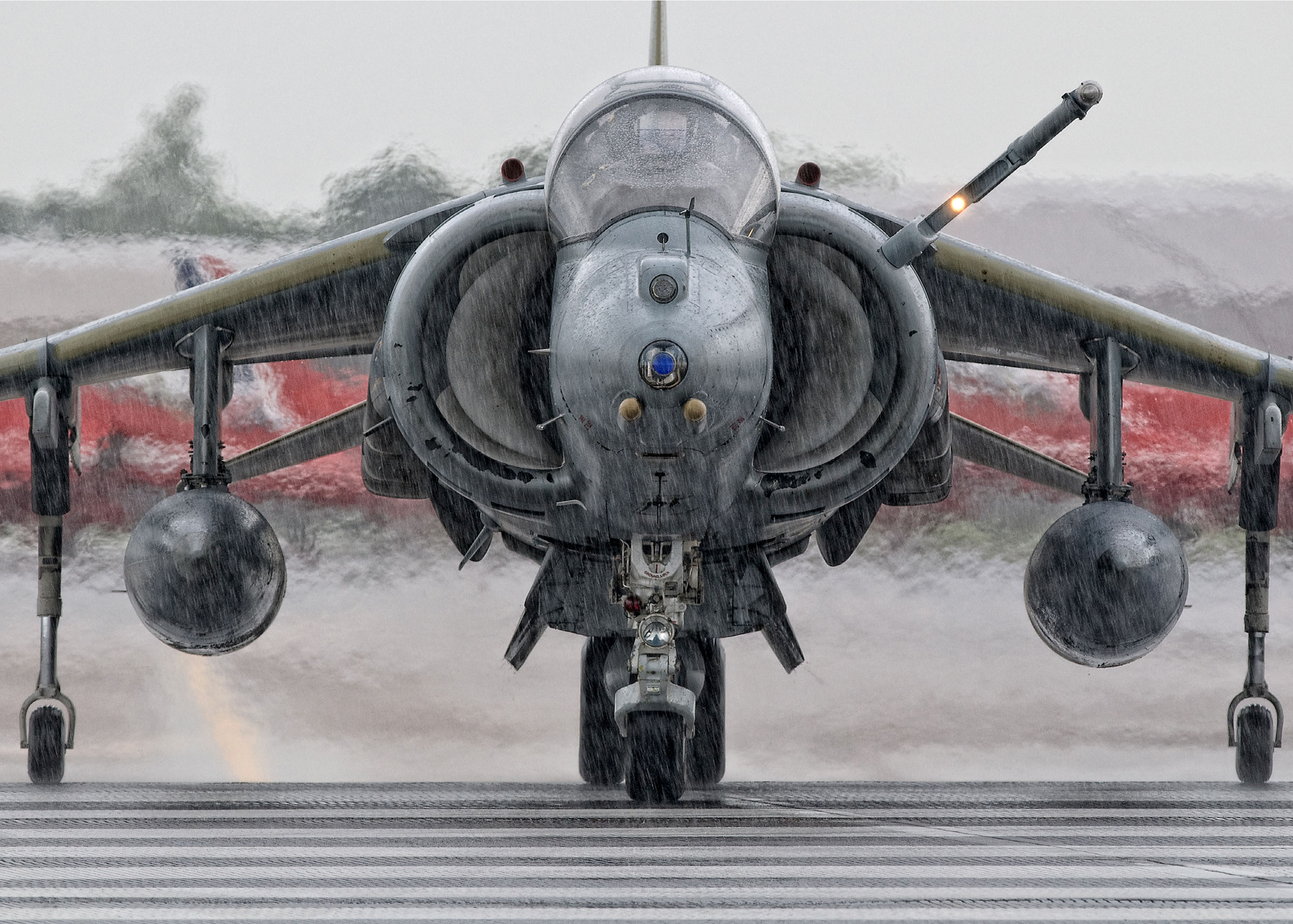 Harrier w deszczu
