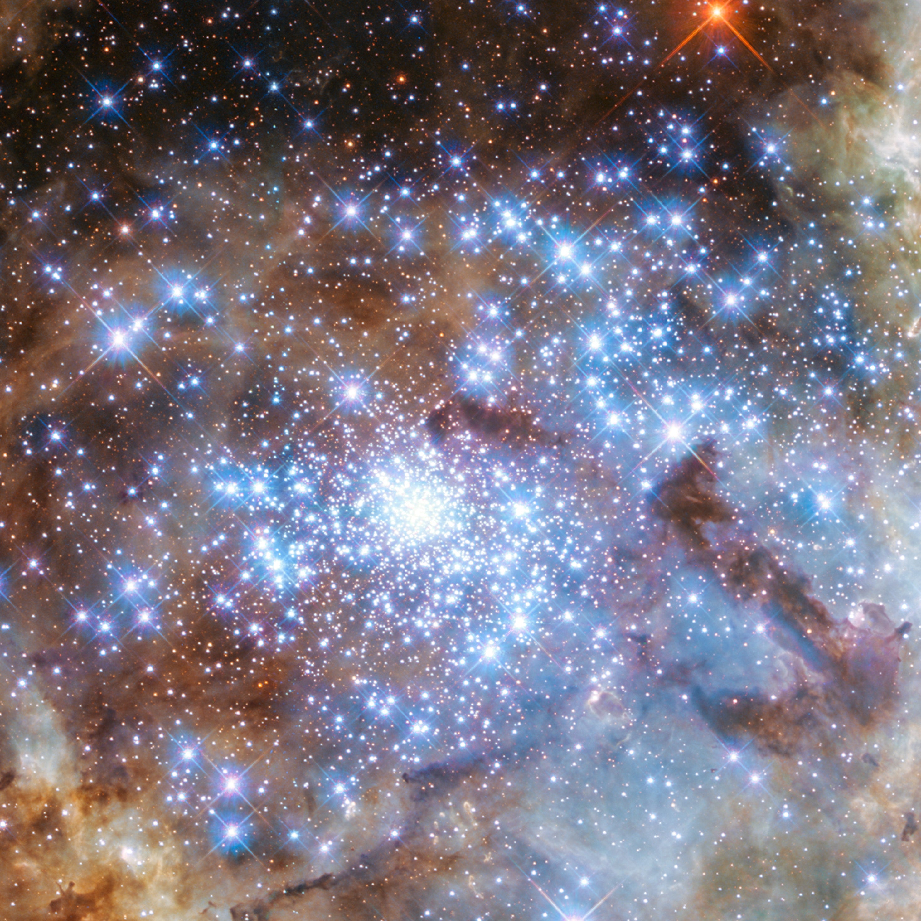 The Heart of Tarantula Nebula