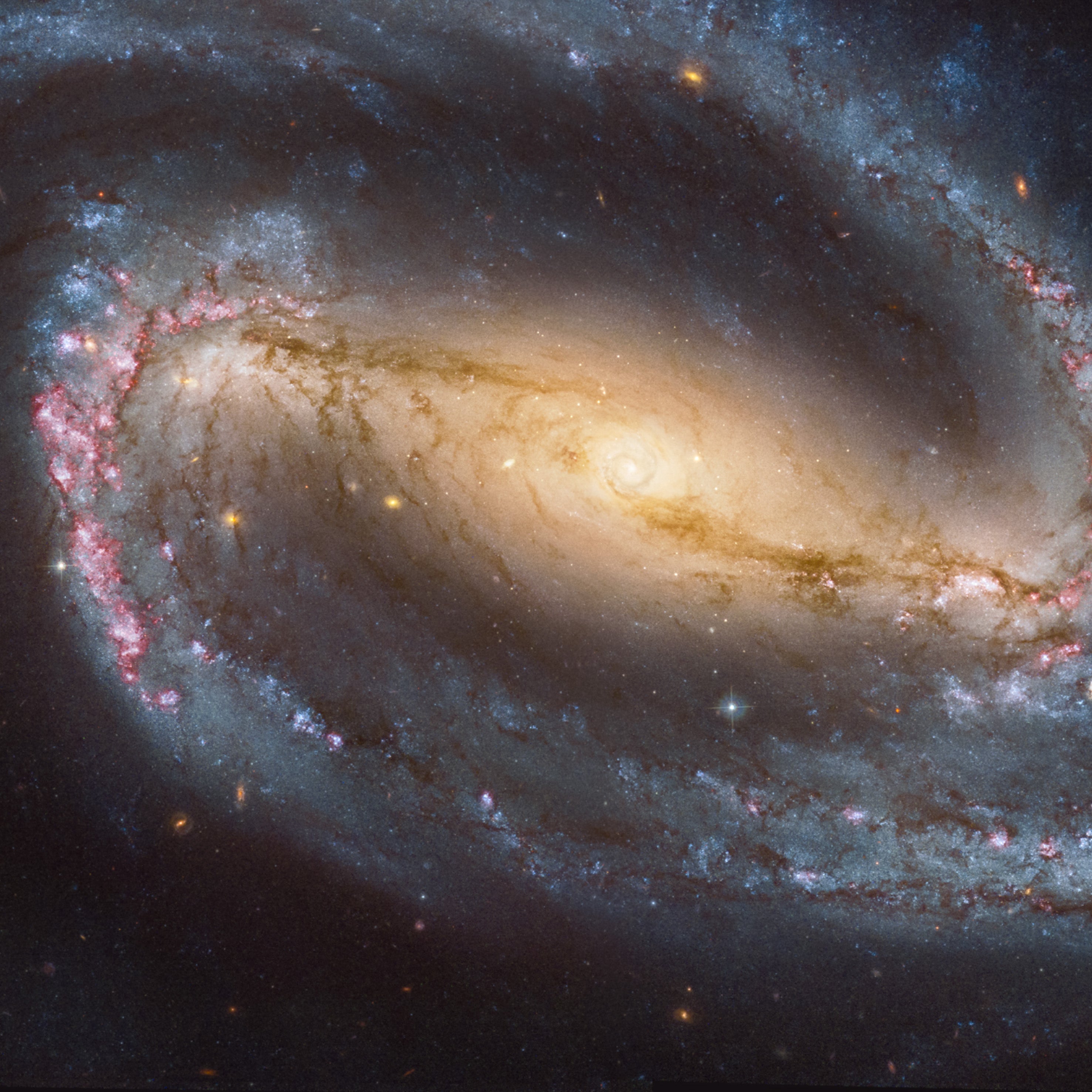 Spiral Galaxy - NGC 1300