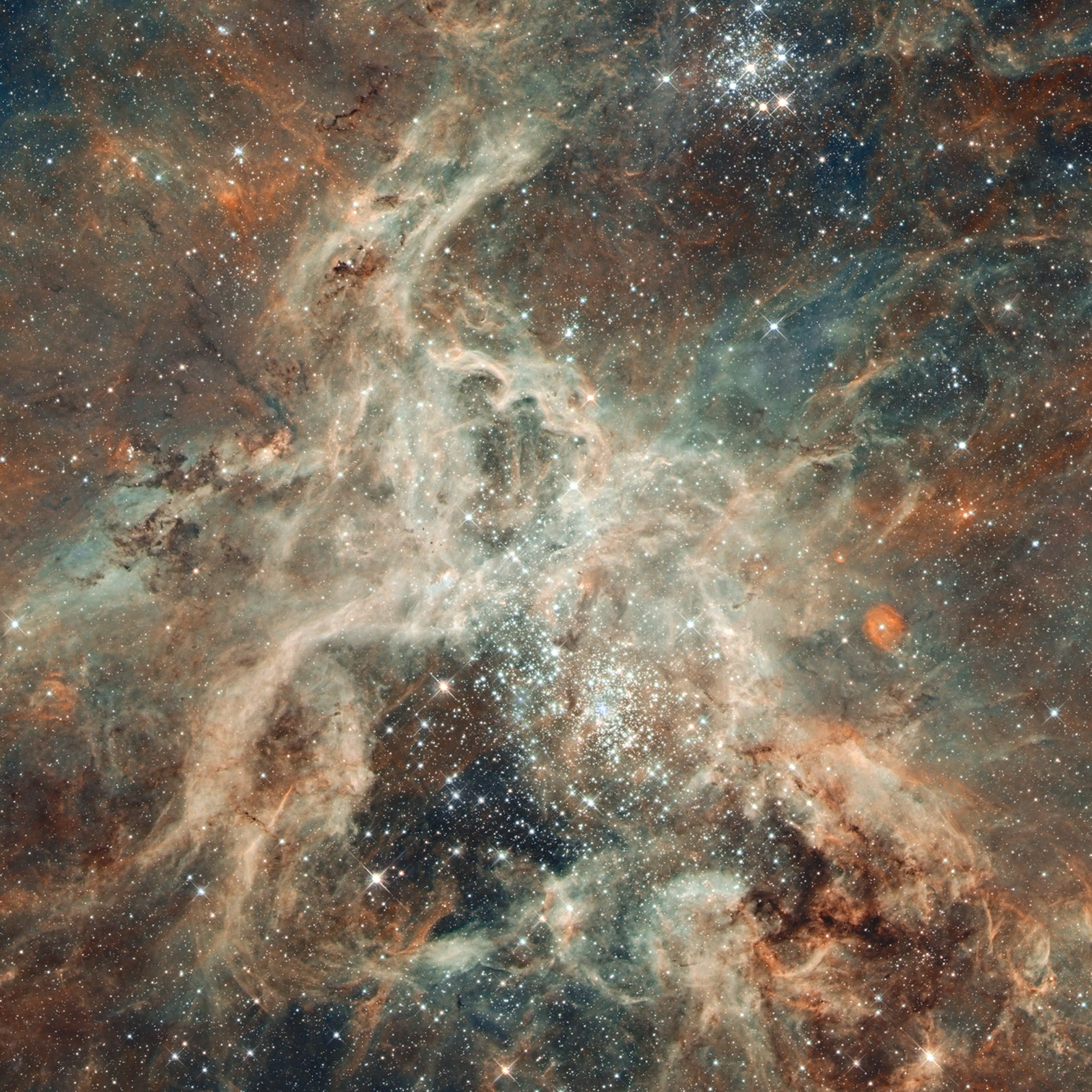 Tarantula Nebula