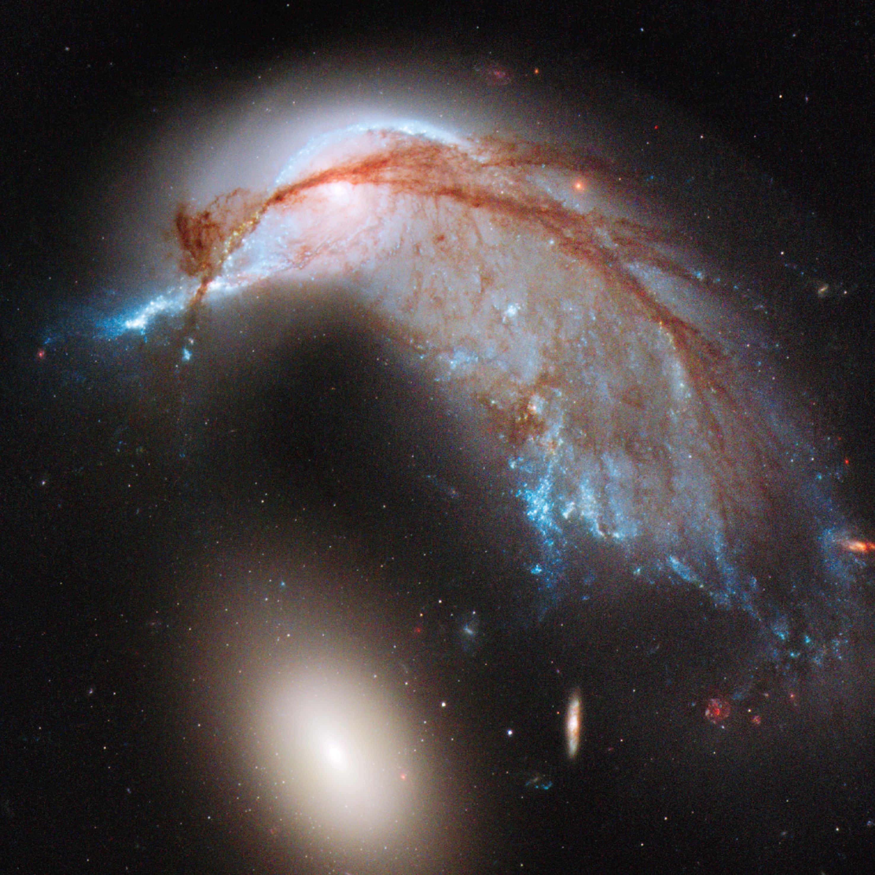 Penguin Galaxy - Arp 142