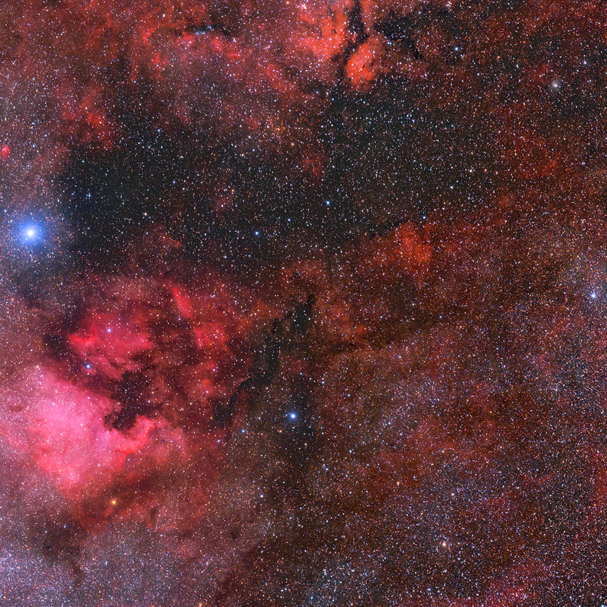 Nebulae of Cygnus