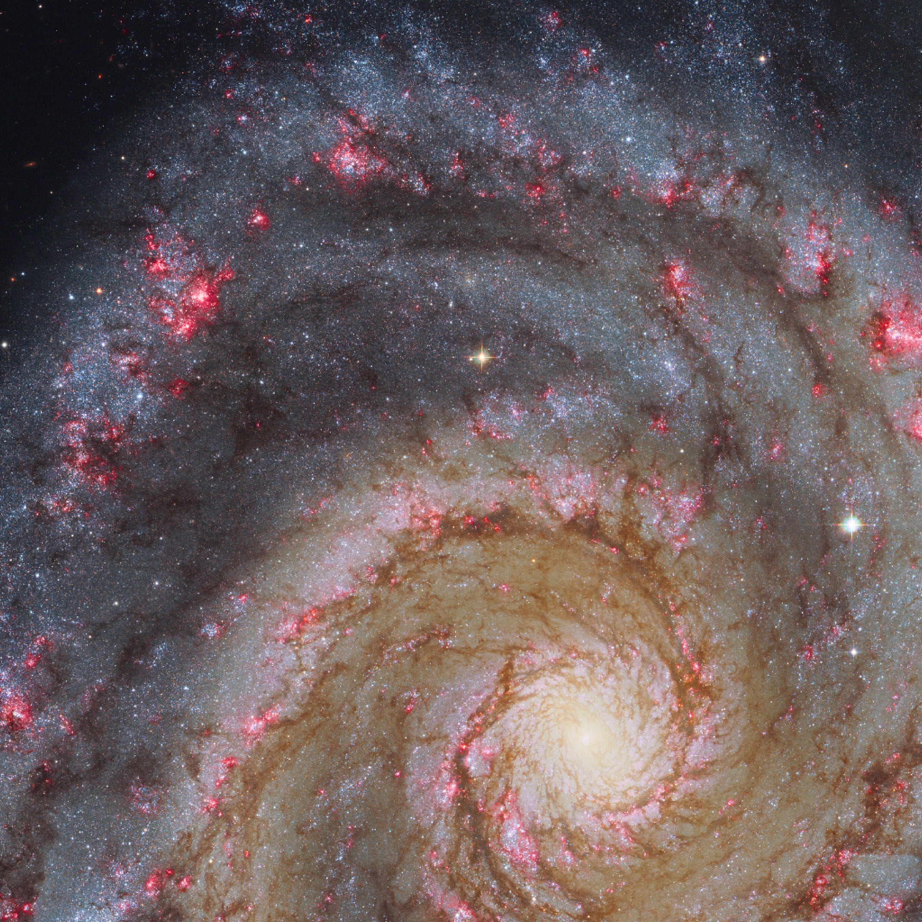 Messier 51 Whirlpool Galaxy