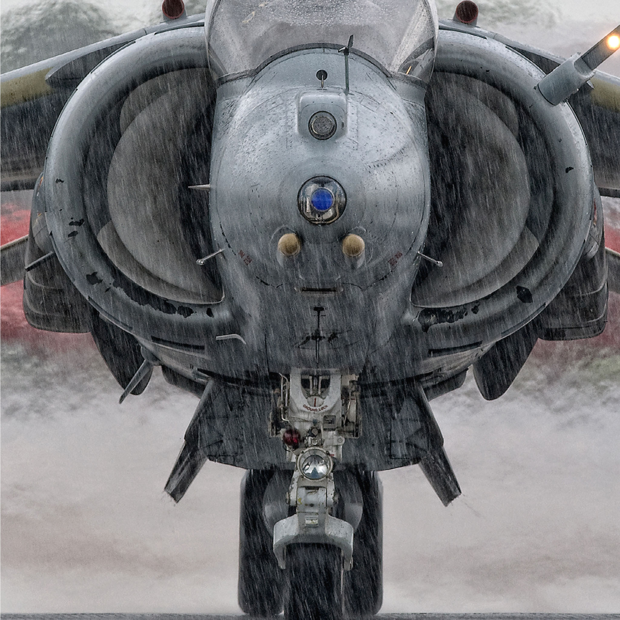 Harrier w deszczu