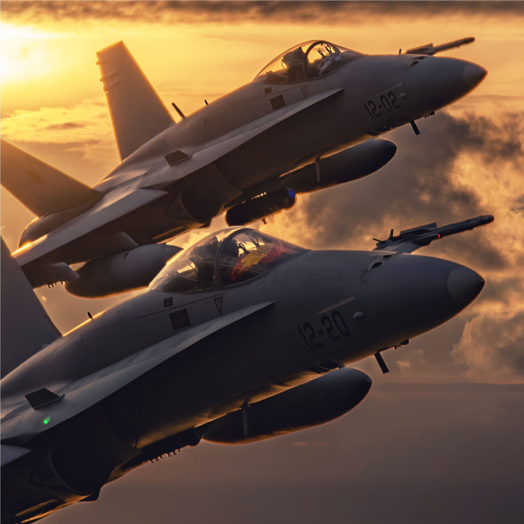 Hornets over the Sunset