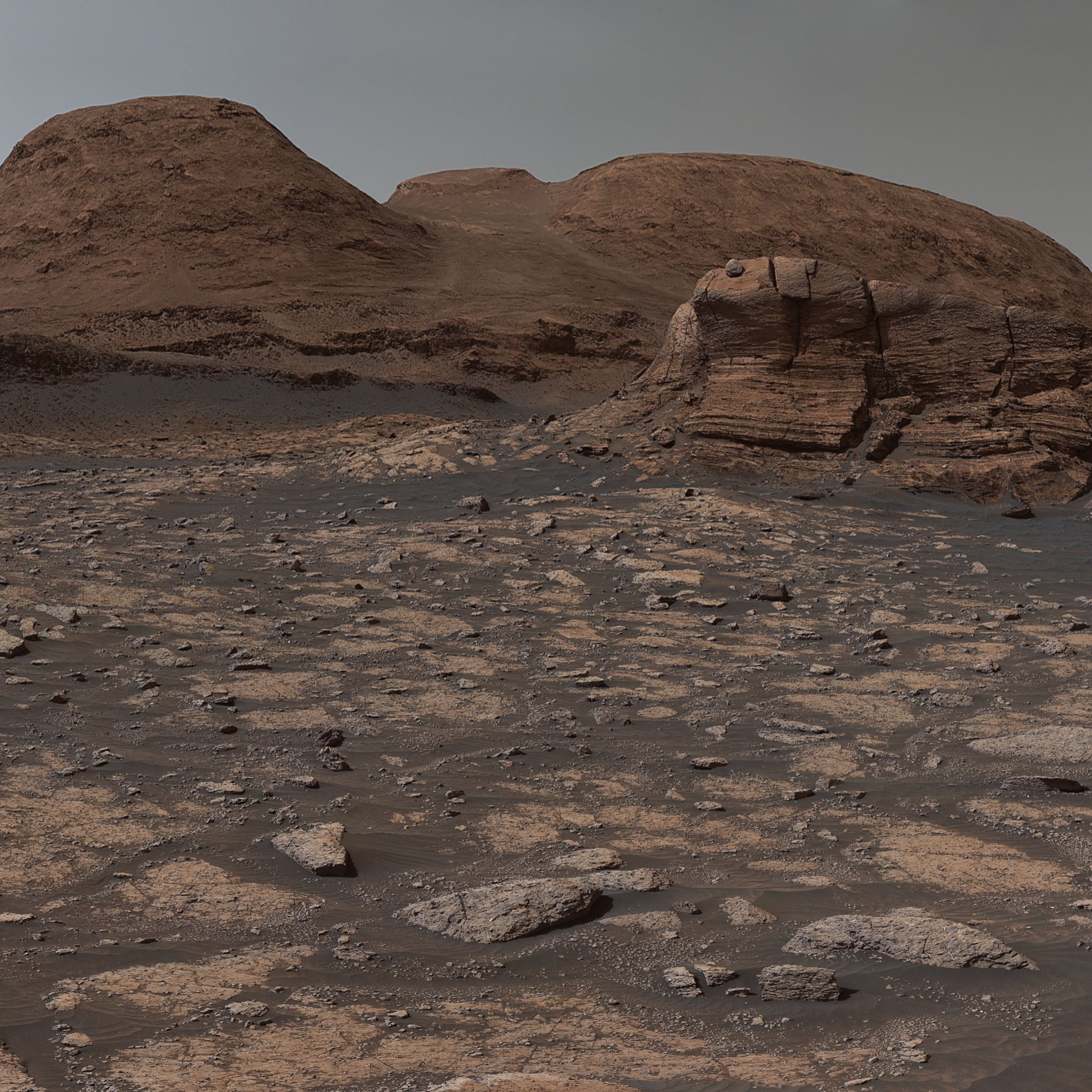 Martian Landscape